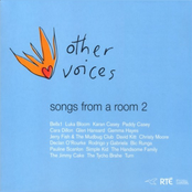 Other Voices: Songs From A Room 2