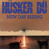 Perfect Example by Hüsker Dü