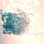 Involución