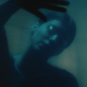 Golden Cracks - Single