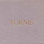 Tornis: 20 gadi, 20 dziesmas
