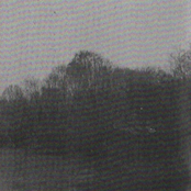 Пауночны Ветер