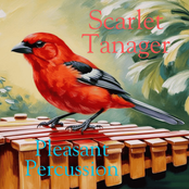 Pleasant Percussion