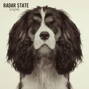 Radar State: Strays