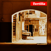 Miasto Plonie by Tortilla