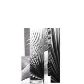 "Scourge in the Spring"