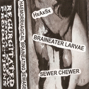 Haemorrhagical Braineating Sewage