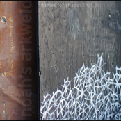 Names For Shapes That Don't Exist