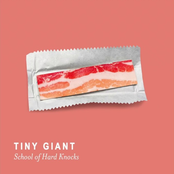 School of Hard Knocks