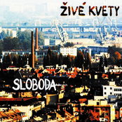 Svet Je Dokonalý by Živé Kvety