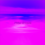 Phlox Breeze