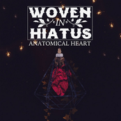 Woven In Hiatus: Anatomical Heart