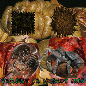 Trilobit VS Coconut Crab gorenoise SPLIT