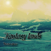 Fantasy Lands