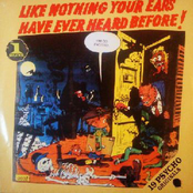 Like Nothing Your Ears Have Ever Heard Before