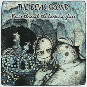 Alistair Jones by The Bevis Frond