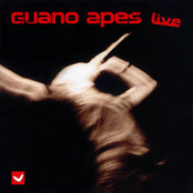 Guano Apes - Open Your Eyes (Live)