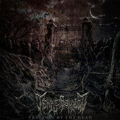 Festival of the Dead