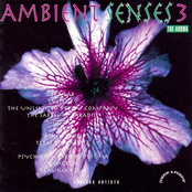 Ambient Senses 3: The Aroma