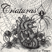 Arañas en el Corazon