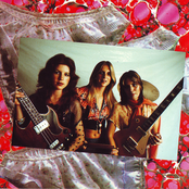 Born to Be Bad cover