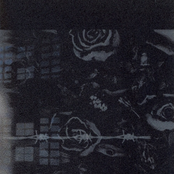 paganism 通信販売初回限定盤