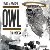 Owl - The Singles