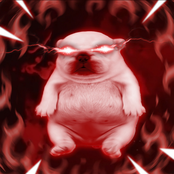 PIBBLE WASH MY BELLY FUNK