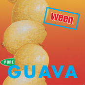 Reggaejunkiejew by Ween