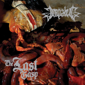Impaled: The Last Gasp