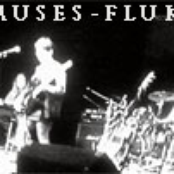 muses fluke