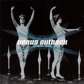 Black Flag by Venus Outback