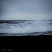 We're Losing the Light