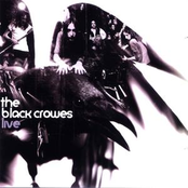 Title Song by The Black Crowes