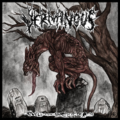 Chaos In The Flesh by Verminous