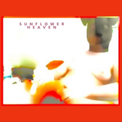 Send The Heavens Crying [Explicit]