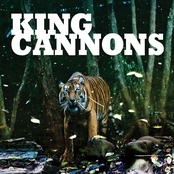 Take The Rock by King Cannons