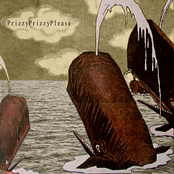 Whales Are The Biggest Fishes