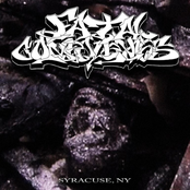 Promo '25 [Explicit]