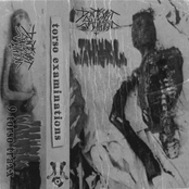 TORSO EXAMINATIONS (SPLIT)