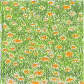 Rubber Band - Single