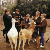 The Beach Boys photo provided by Last.fm
