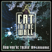 Cat In The Wall: Now You're Talkin' My Language