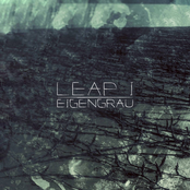 Leap I