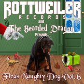 Fleas Naughty Dog Vol. 6