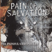 Oblivion Ocean by Pain Of Salvation