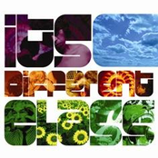 It's Different Class