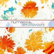 Number 9: Retroflavours