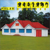 Cars by Polar