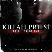 Night Hawk by Killah Priest